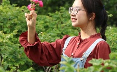 爱情岛路线1线路2线路3京东唯品会苏宁易购